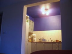 blue kitchen