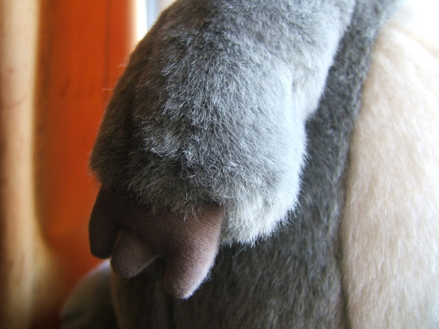 paw