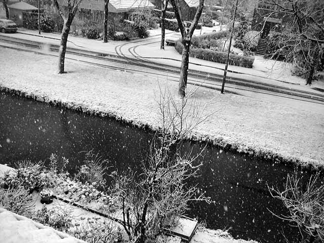 snowy view from window