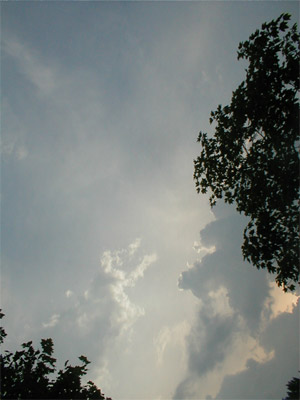 clouds_trees