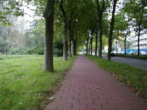 bicycle path